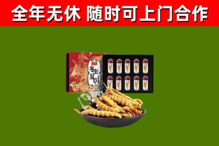 虹口区回收冬虫夏草价格