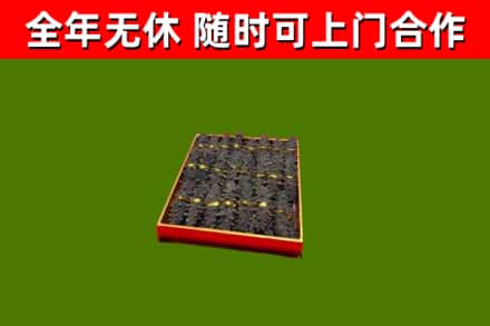 虹口区回收海参